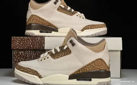 Palomino  CT8532-102  Retro Jordan 3 CT8532-102 0611